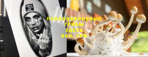 прущие крисы Абинск