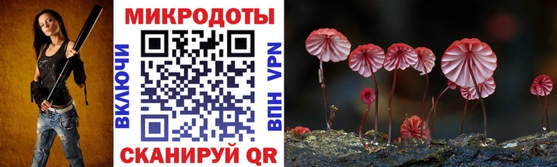 купить наркотик  Горбатов  Галлюциногенные грибы GOLDEN TEACHER 